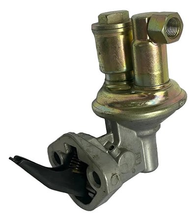Bomba Combustível Perkins 6.357.2 6.358 Carter Ms60252s