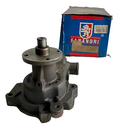 Bomba D'água Fanandri Chevette C/polia S/ Ar Bd03/e1