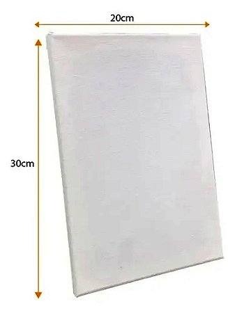 Tela para pintura 20 x 30 cm stalo