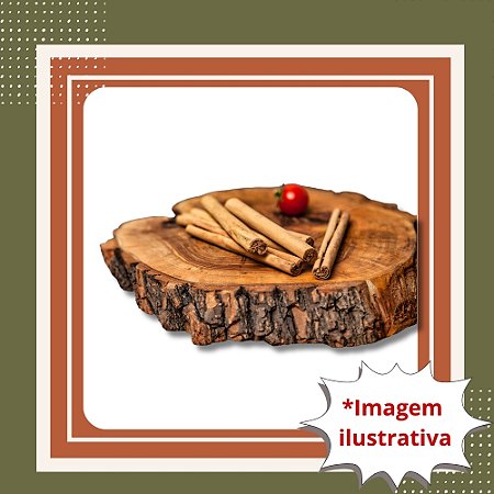 Muda de Canela do Ceilão – Planta Aromática de Casca Valiosa