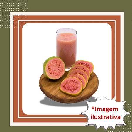 Muda de Goiaba Paluma Vermelha – Frutífera Produtiva e de Frutos Grandes