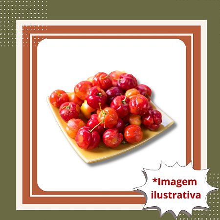 Muda de Acerola Cabocla Clonada – Frutífera Super Produtiva e Rica em Vitamina C