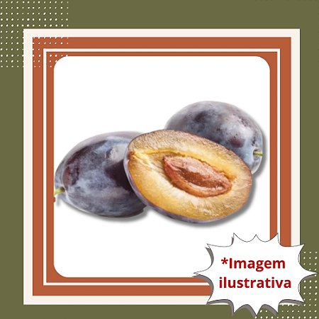 Muda de Ameixa Itália Enxertada – Frutos Doces e de Alta Qualidade