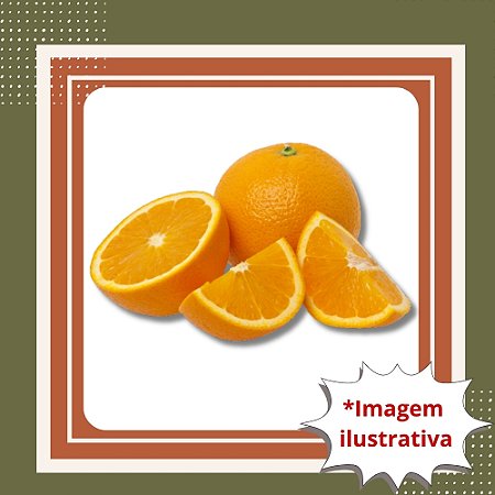 Muda de Laranja Navelina Enxertada – Doce, Sem Sementes e de Alta Qualidade