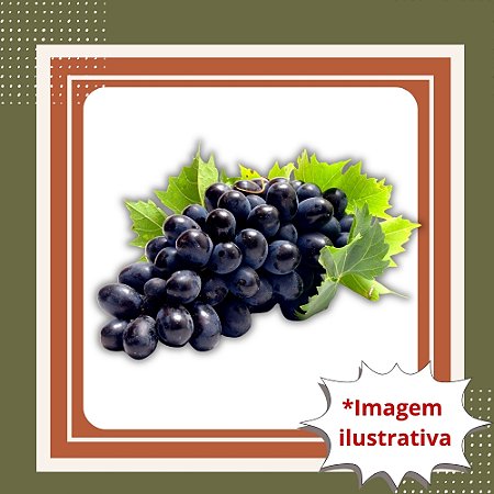 Muda de Uva Francesa – Frutos Doces, Elegantes e de Alta Qualidade