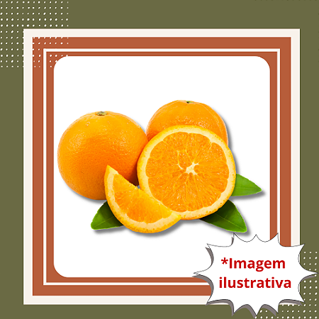 Muda de Laranja Bahia Enxertada – Frutos Doces e Produção Rápida