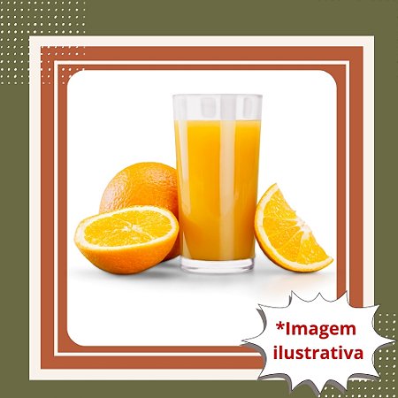 Muda de Laranja Baianinha Enxertada – Frutos Doces e Saborosos