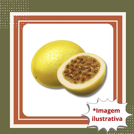 Muda de Maracujá Azedo — Alta Produtividade, Frutos Suculentos e Sabor Marcante