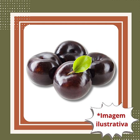 Muda de Ameixa Rosa Mineira Enxertada - Prunus salicina Produtiva e Saborosa