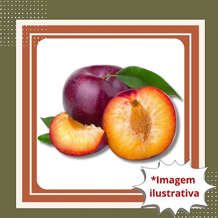 Muda de Ameixa Rubinel Enxertada Produz Rápido e Frutos Grandes