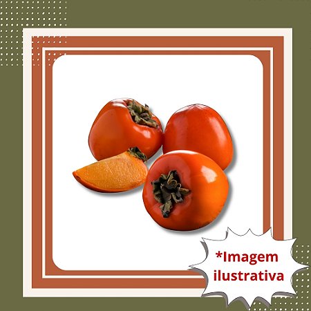 Muda de Caqui Rama Forte Enxertada – Frutífera Produtiva e Saborosa
