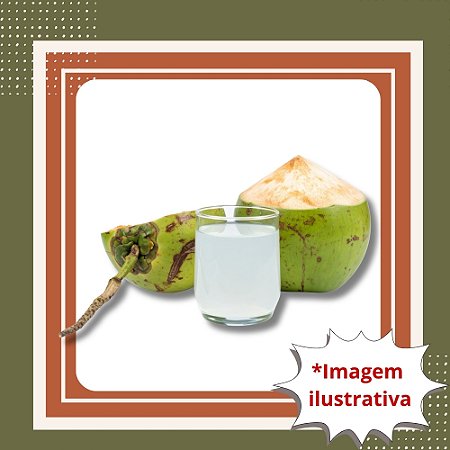 Muda de Coqueiro Anão – Produção de Coco Verde e Alta Produtividade