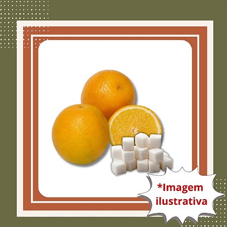 Muda de Laranja Açúcar Enxertada – Doce, Suave e Muito Produtiva