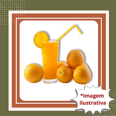Muda de Laranja Lima da Pérsia – Frutífera Doce e Muito Suculenta