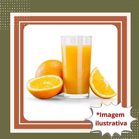 Muda de Laranja Lima Sorocaba Enxertada – Doce, Suave e Muito Suculenta
