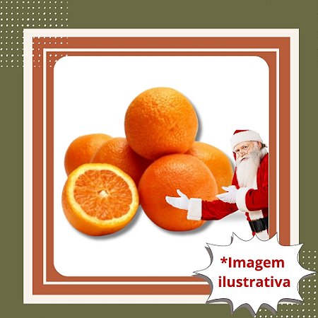 Muda de Laranja Natal Enxertada – Suculenta, Doce e de Alta Produção