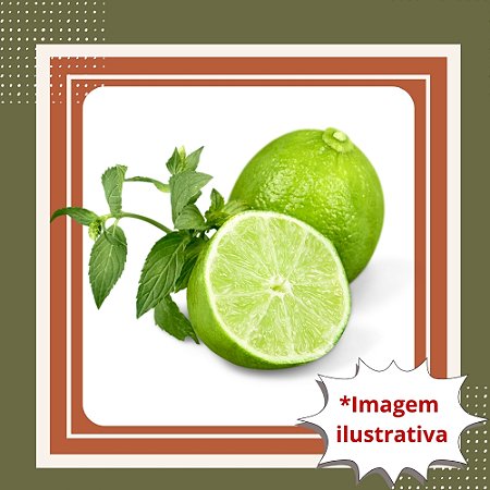 Muda de Limão Citrumelo Swingle – Alta Resistência e Ideal para Produção de Frutos