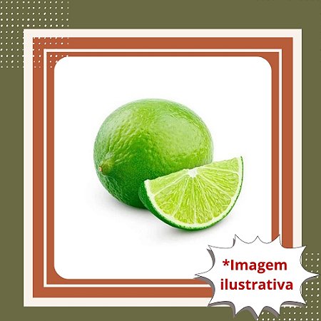 Muda de Limão Galego Enxertada – Produz Rápido e Muito Suculento