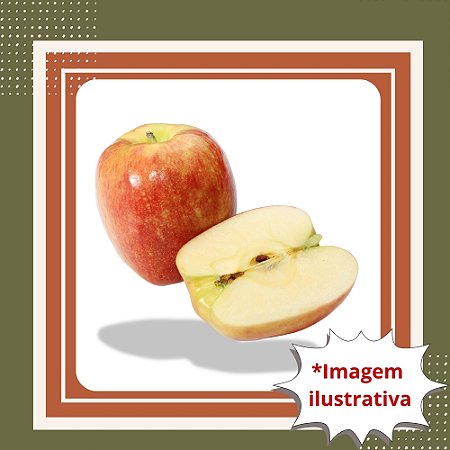 Muda de Maçã Eva Enxertada – Ideal para Clima Quente e Produção Precoce