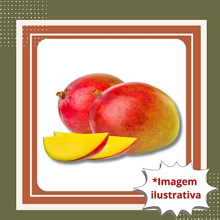 Muda de Manga Coração de Boi Enxertada Frutífera Doce e Grande