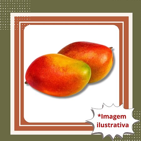 Muda de Manga Palmer Enxertada – Alta Produção e Frutos de Qualidade
