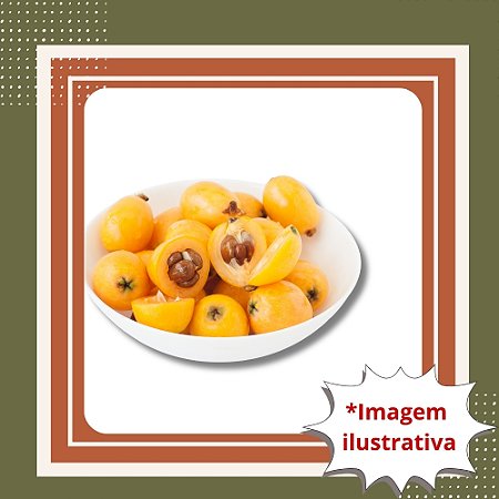 Muda de Nêspera – Frutos Doces e Produção Fácil