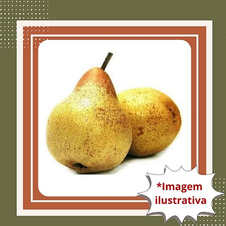 Muda de Pera Kieffer Enxertada – Frutífera Produtiva e Resistente