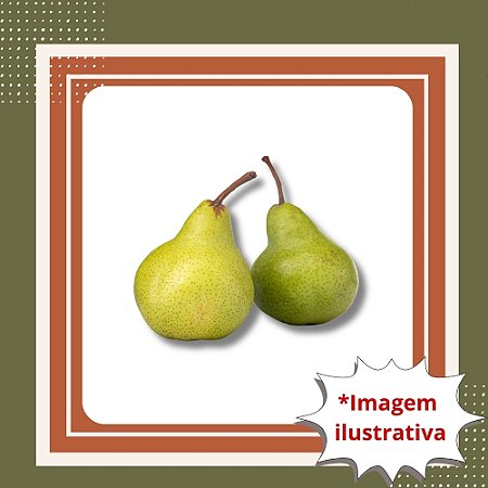 Muda de Pera Le Conde – Frutífera Produtiva e Frutos Saborosos