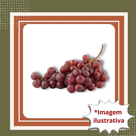 Muda de Uva Niágara Rosada Enxertada – Doce, Aromática e Fácil de Cultivar