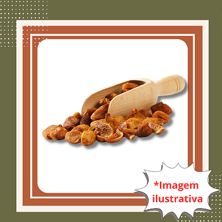 Muda de Figo Branco – Frutos Claros, Doces e Ideal para Produção em Casa