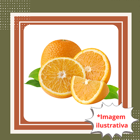 Muda de Laranja Lima do Céu Enxertada – Frutífera Doce e de Alta Qualidade