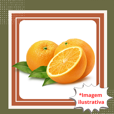 Muda de Laranja Seleta Enxertada – Fruta Doce, Suculenta e de Alta Qualidade