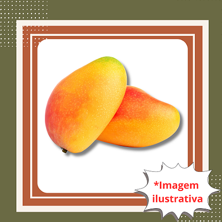 Muda de Manga Bourbon Enxertada – Fruta Doce, Saborosa e de Alta Qualidade
