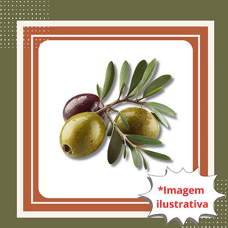 Muda de Oliveira Arbequina – Azeitonas de Alta Qualidade e Fácil Cultivo