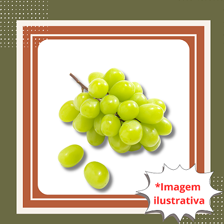 Muda de Uva Moscato Enxertada | Doce e Aromática