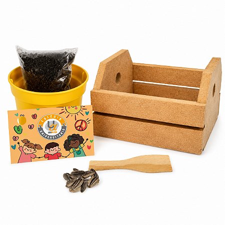 AL011 - Kit Caixote 6mm com Tinta e Pincel