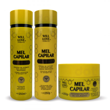 Will Love Mel Capilar Kit Shampoo e Condicionador + Mascára