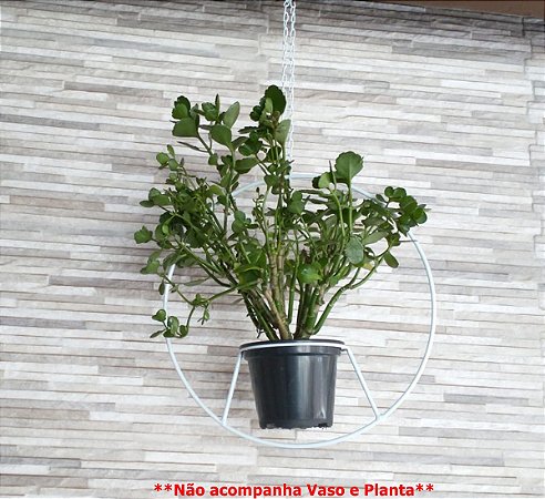 Suporte Para 1 Vaso 13,5cm Pendurar Circular Branco
