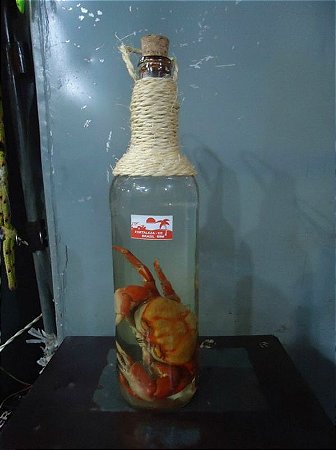 cachaça artesanal