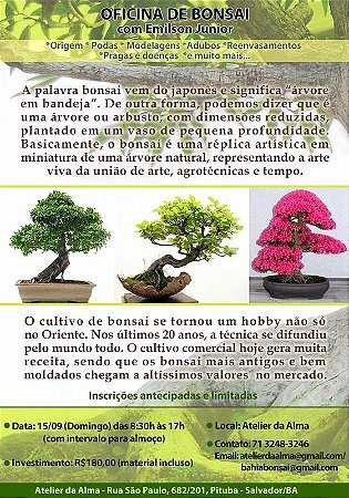 Curso de Bonsai