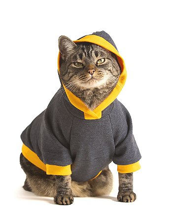 Moletom Grafite e Amarelo | Roupa Para Gatos