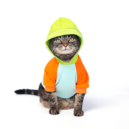 Moletom Laranja e verde