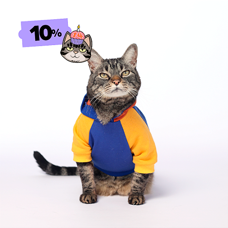 Moletom Azul e amarelo