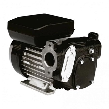 Bomba de Transferência Elétrica 220V 56LPM