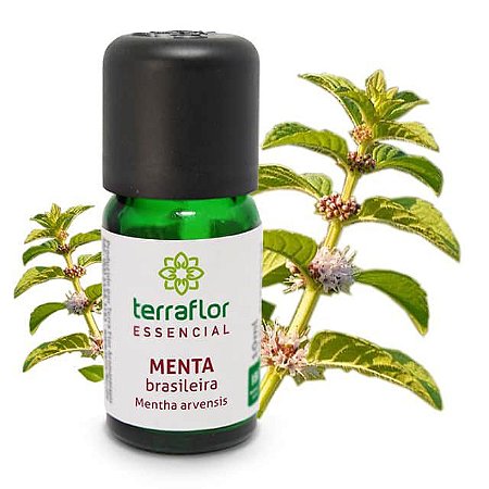 Óleo Essencial Puro 10ml - Menta Brasileira