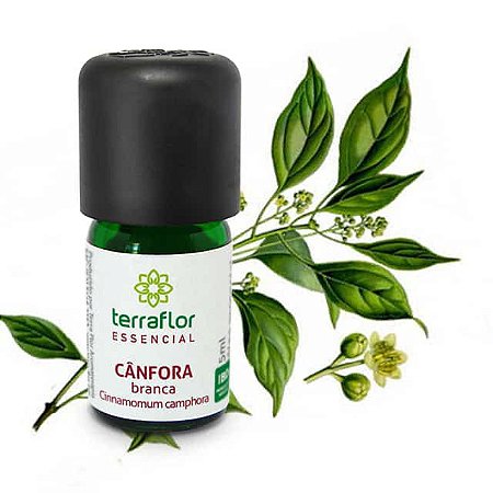 Óleo Essencial Puro 5ml -  Canfora Branca