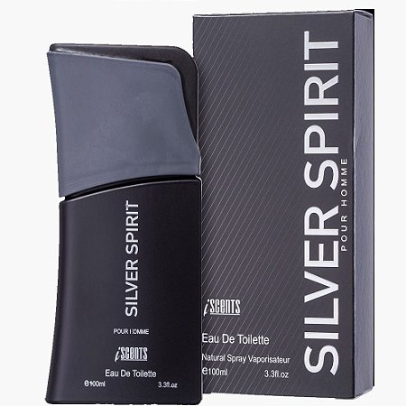 Silver Spirit Eau de Toilette 100ml Iscents Pour Homme