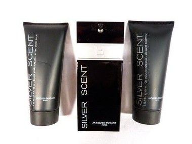 Kit Silver Scent - Perfume Masculino 100ml + Shampoo 100ml + After Shave 100ml