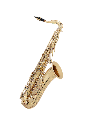 Saxofone Tenor WINDORF WTS-E100G