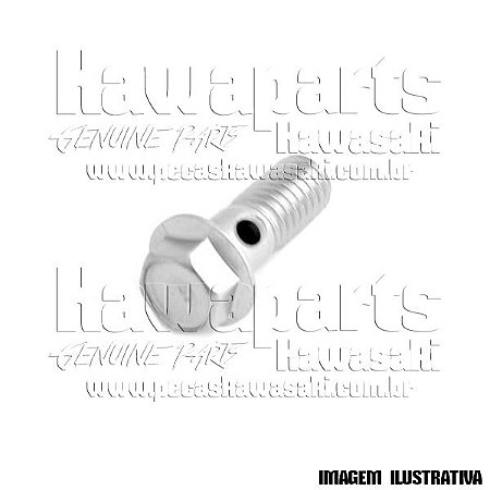 PARAFUSO - 92153-0651